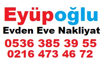 küçükyalı evden eve nakliyat